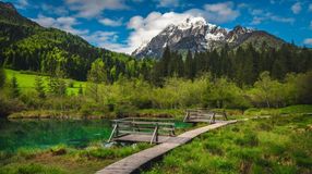 Walk wooden walkway around Lake Zelenci while spending 5 days in Slovenia.