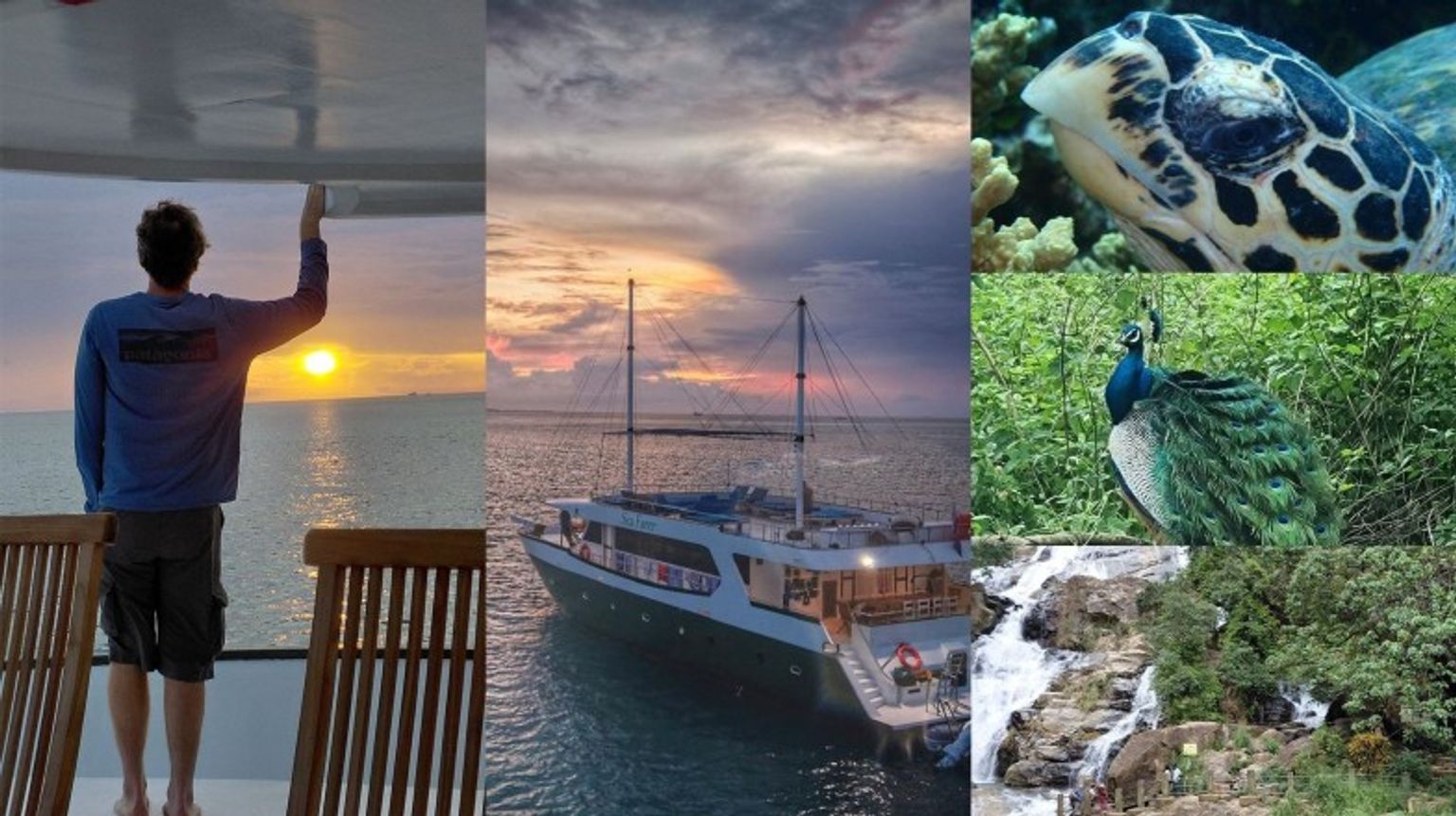 A collage of photos from Molly's trip to Sri Lanka & Maldives, showing yacht sails, peacock, turtles and waterfalls.