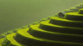See Terraced hills with small structures while spending 7 days in Vietnam.