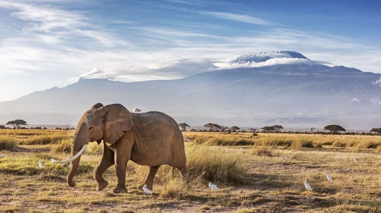Top National Parks in Kenya
