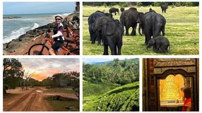 A collage of five photos from Michelle's trip to Sri Lanka
