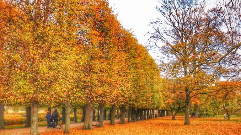 Denmark in October: Weather, Autumn Foliage and More!