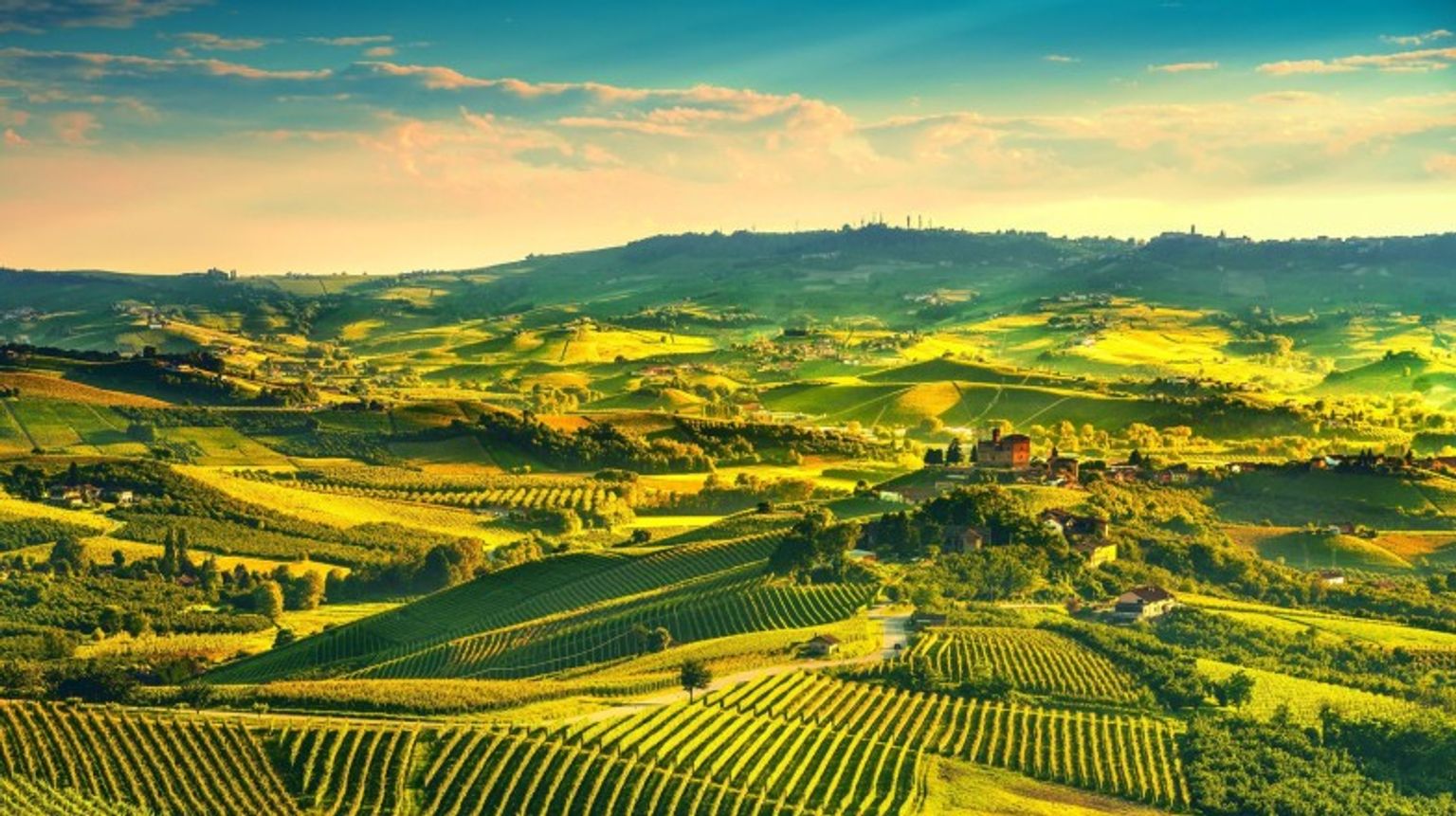 Panorama of Langhe vineyards during sunset in Northern Italy.