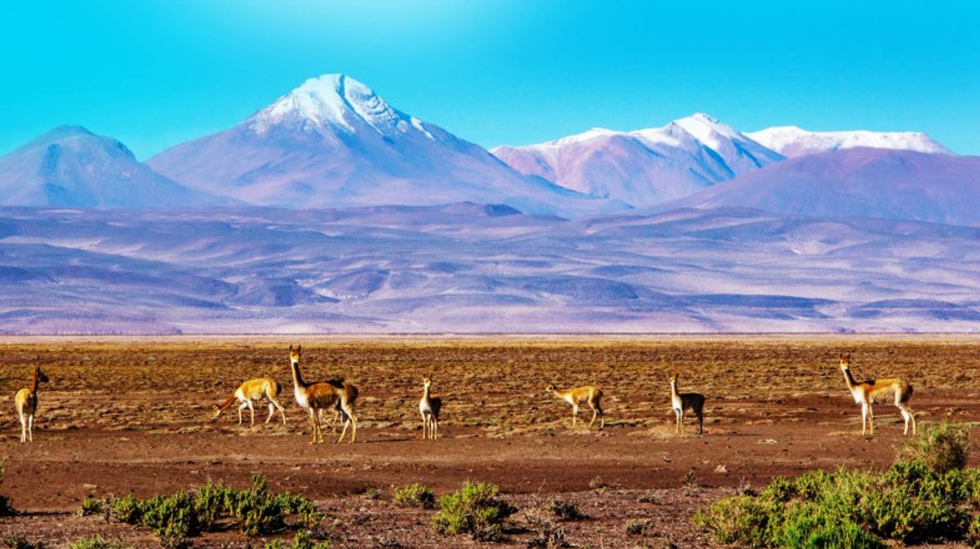 Bolivia in July: Weather, Tips and More