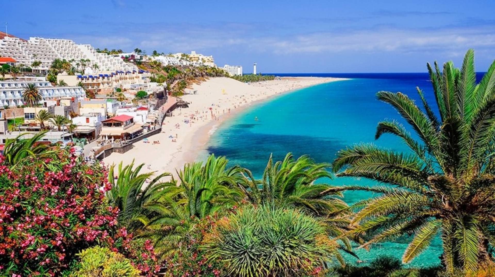 A Guide to the Canary Islands: Everything You Need to Know