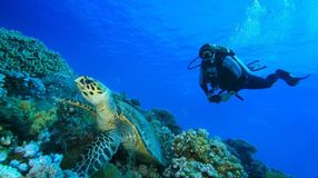 A man enjoying scuba diving in the Red Sea in Jordan in April.