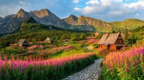 Explore the picturesque Tatra Mountains during your 9 days in Poland.