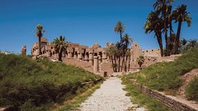 The view of karnal temple with palm trees in Egypt during 6 days trip