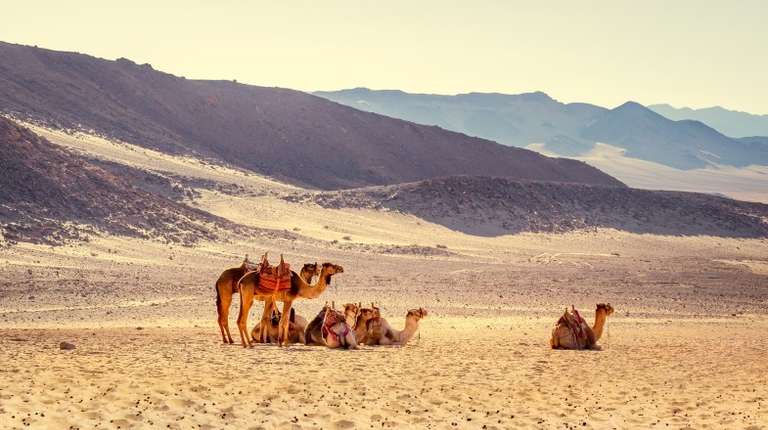 Do a camel safari in Egypt in April.