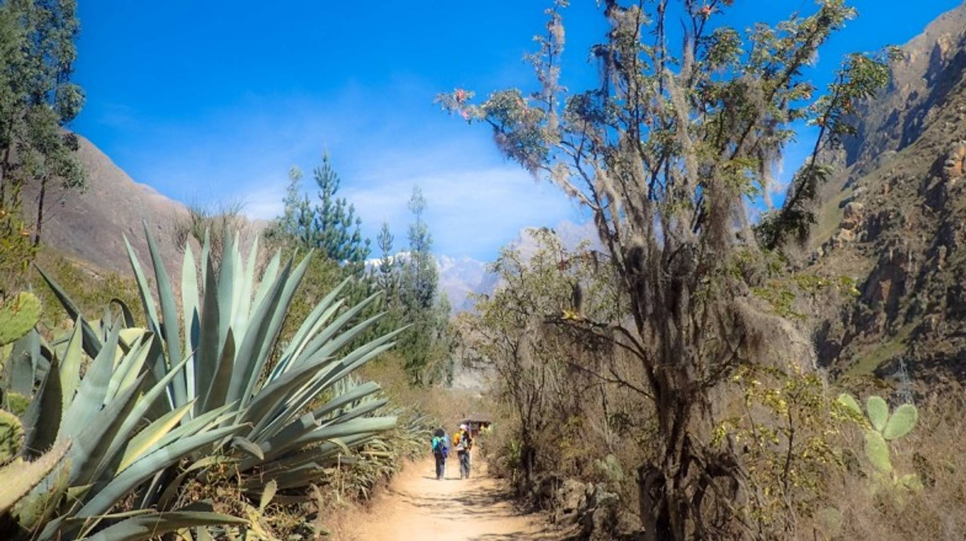 Hiking in Peru: 10 Best Day Hikes