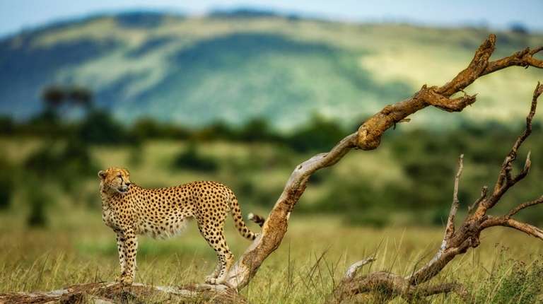 Kenya in November: Shoulder Season Weather and Travel Tips