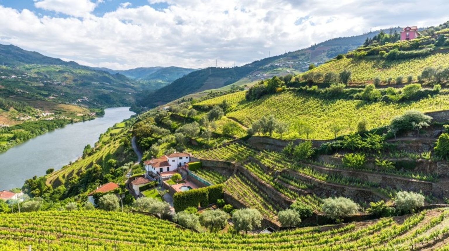 The Douro River flows through the lush Douro Valley and Porto.