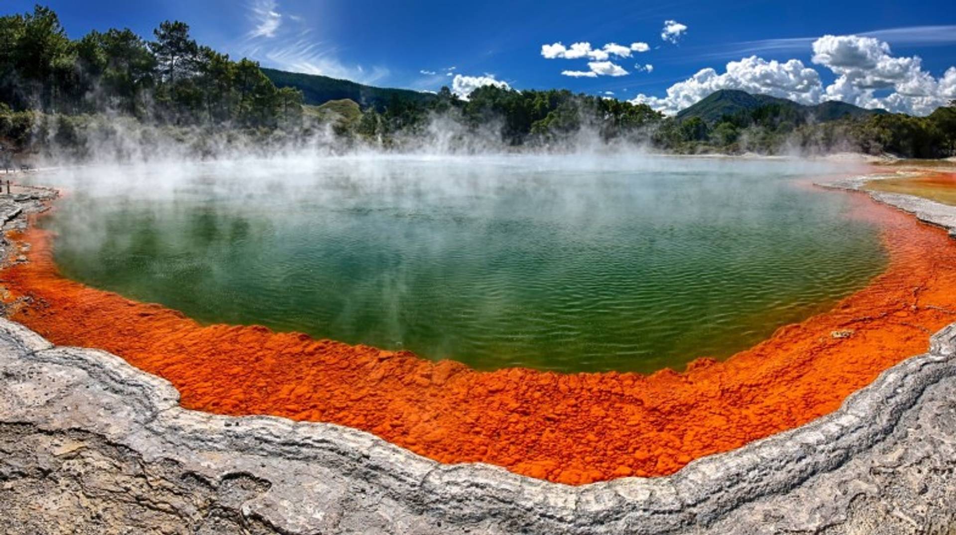 New Zealand in 5 Days: 4 Recommended 5-day Itineraries to New Zealand