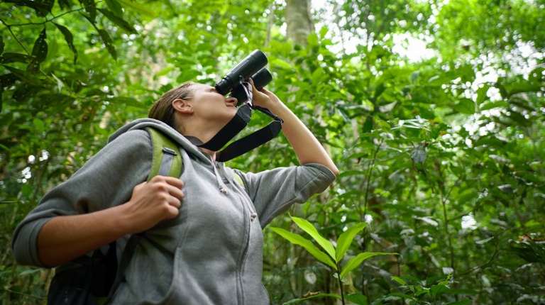 7 Best Places to View Wildlife in Costa Rica