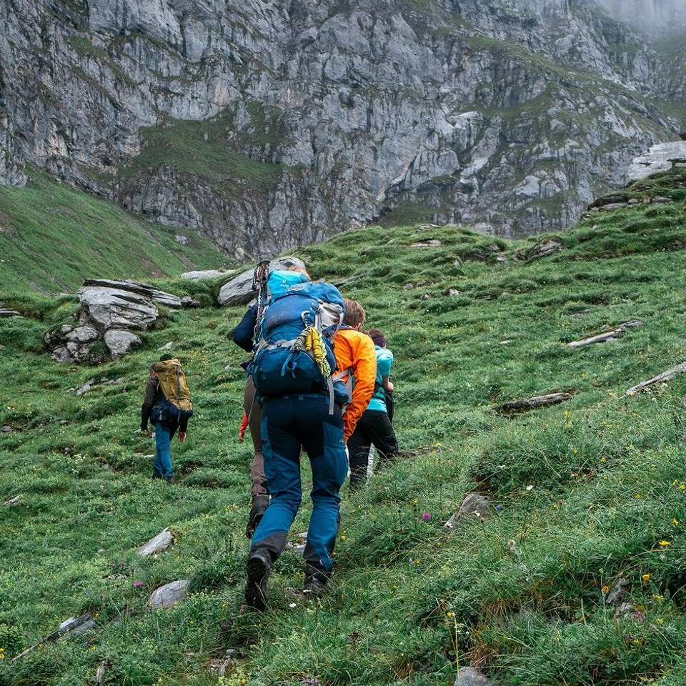 Group tours