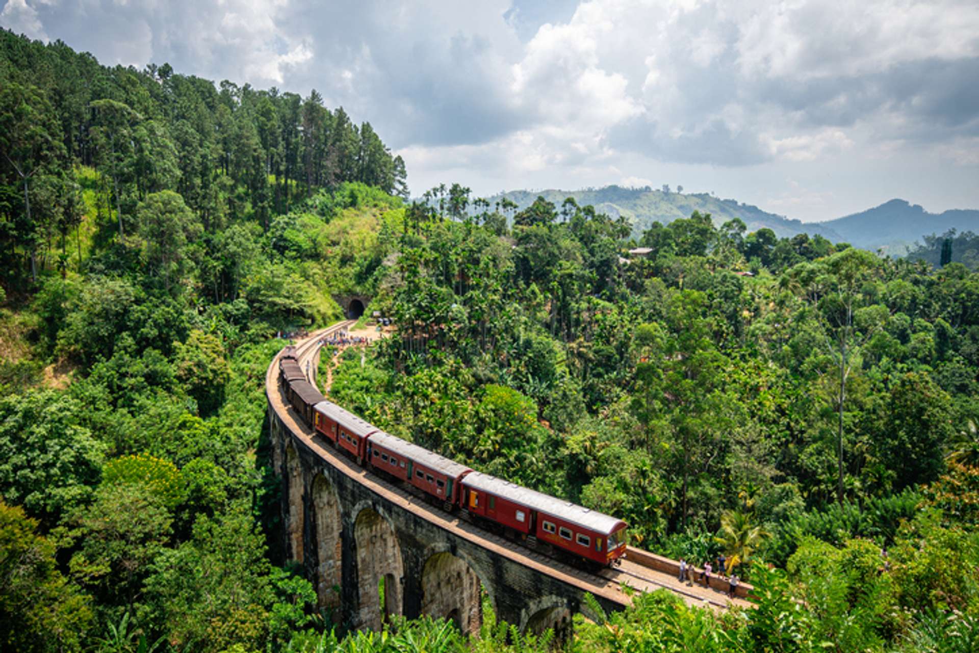 A train rides through a bridge over a hill covered in green trees