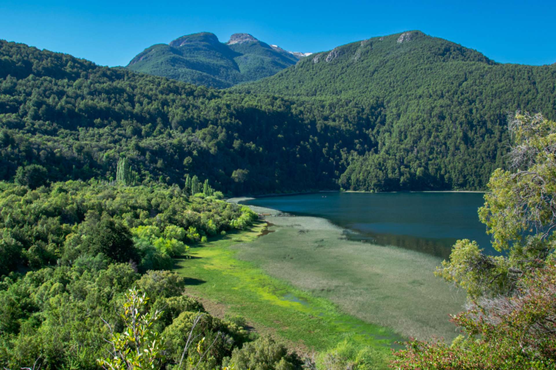 A deep blue lake with a green grassland on one end and emerald, lush hills on another side