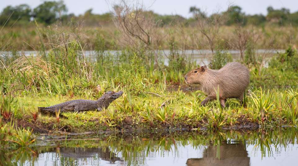 Nature and culture in Northwest Argentina - Say Hueque Argentina & Chile Journeys - Argentina - Image 3