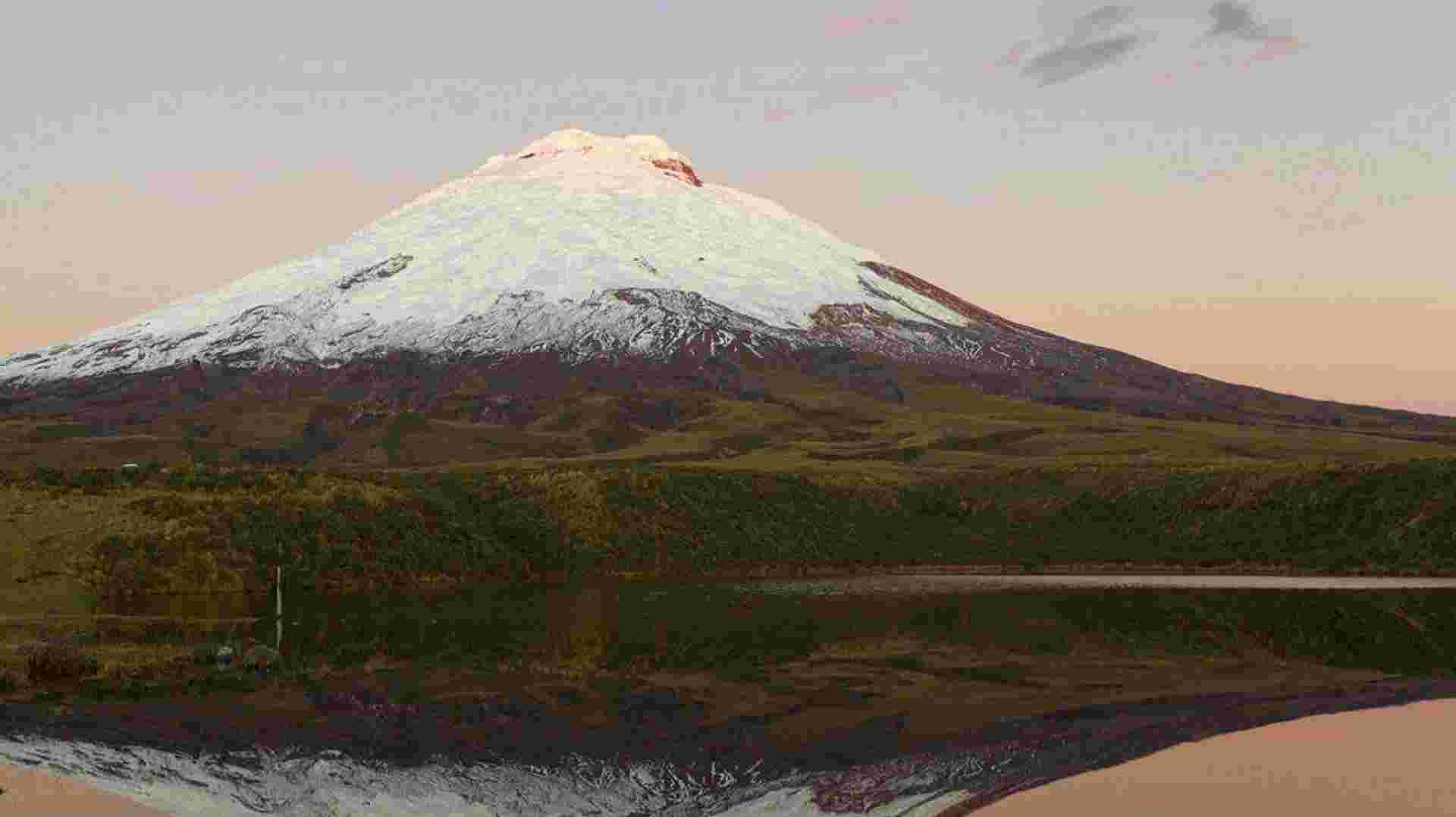 Inland & Amazon
