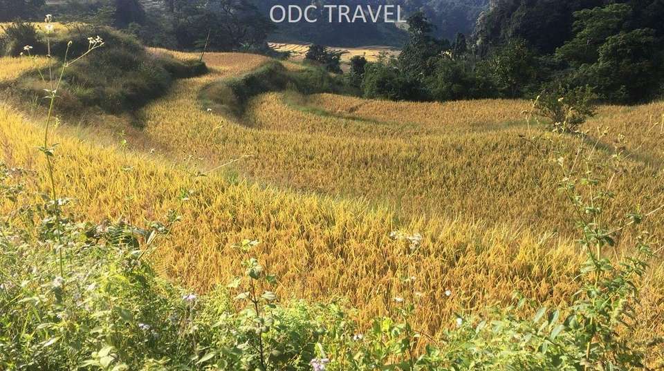Ba be lake - ban gioc waterfall - Odc Travel Company - Vietnam - Image 4