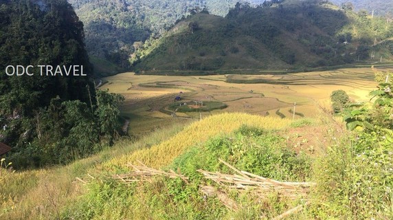 Image 5 of 8