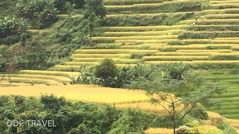 Ba be lake - ban gioc waterfall - Odc Travel Company - Vietnam - Image 8