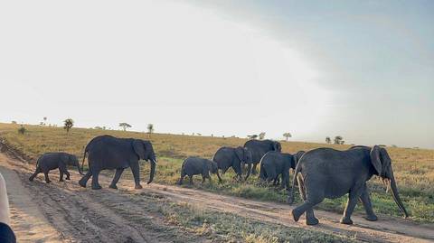 2 Day Safari Tarangire & Ngorongoro - January 2027