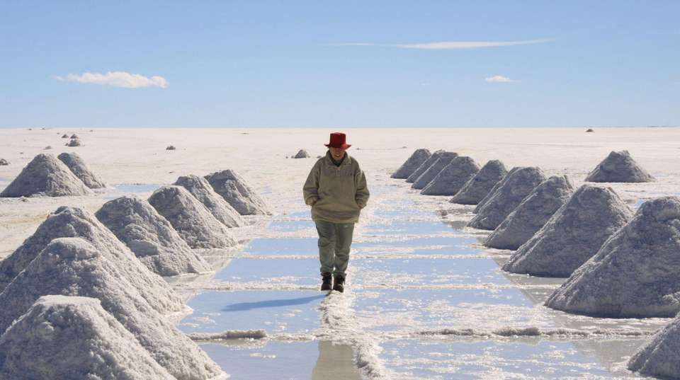 Argentina & Bolivia: Salt Flats and Desert - Say Hueque Argentina & Chile Journeys - Argentina - Image 6