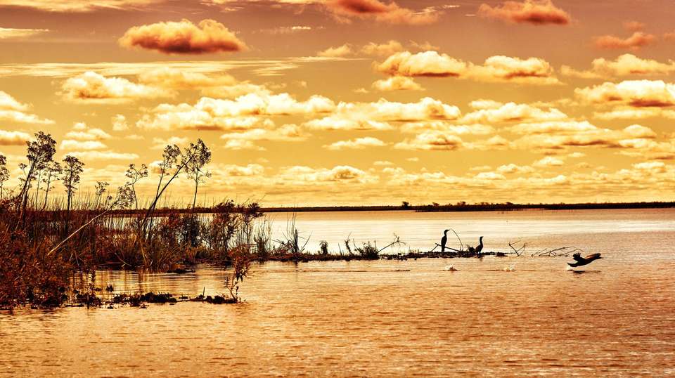Jungle & Wetlands: Iguazu & Iberá - Say Hueque Argentina & Chile Journeys - Argentina - Image 4