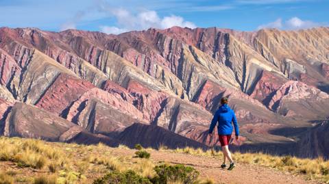 Guided And Escorted Tours: Deserts, Jungle And Falls