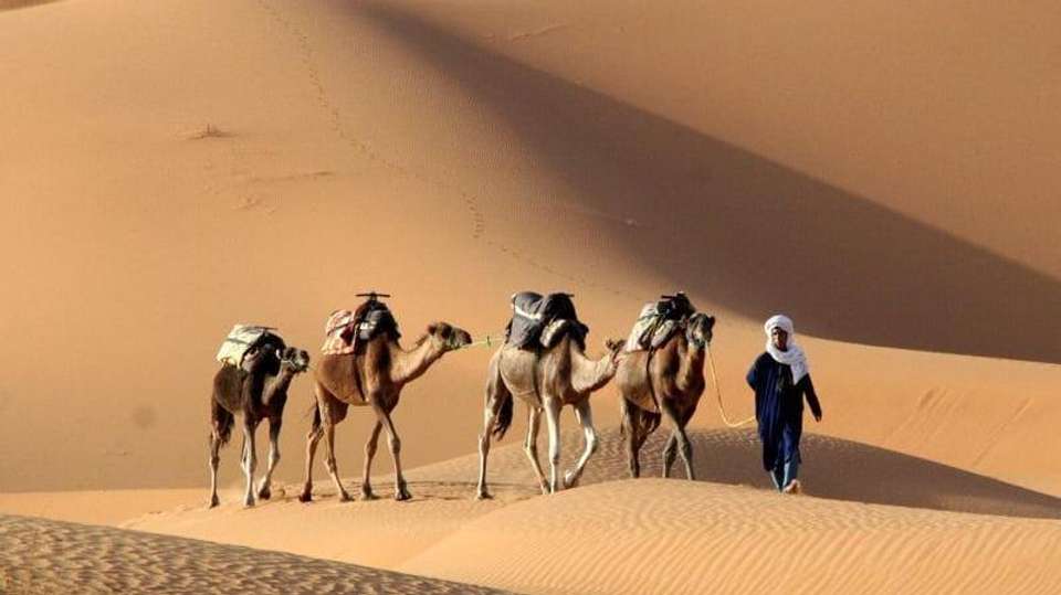 Adventure Morocco (4 Star Hotels) - Travel Talk - Morocco