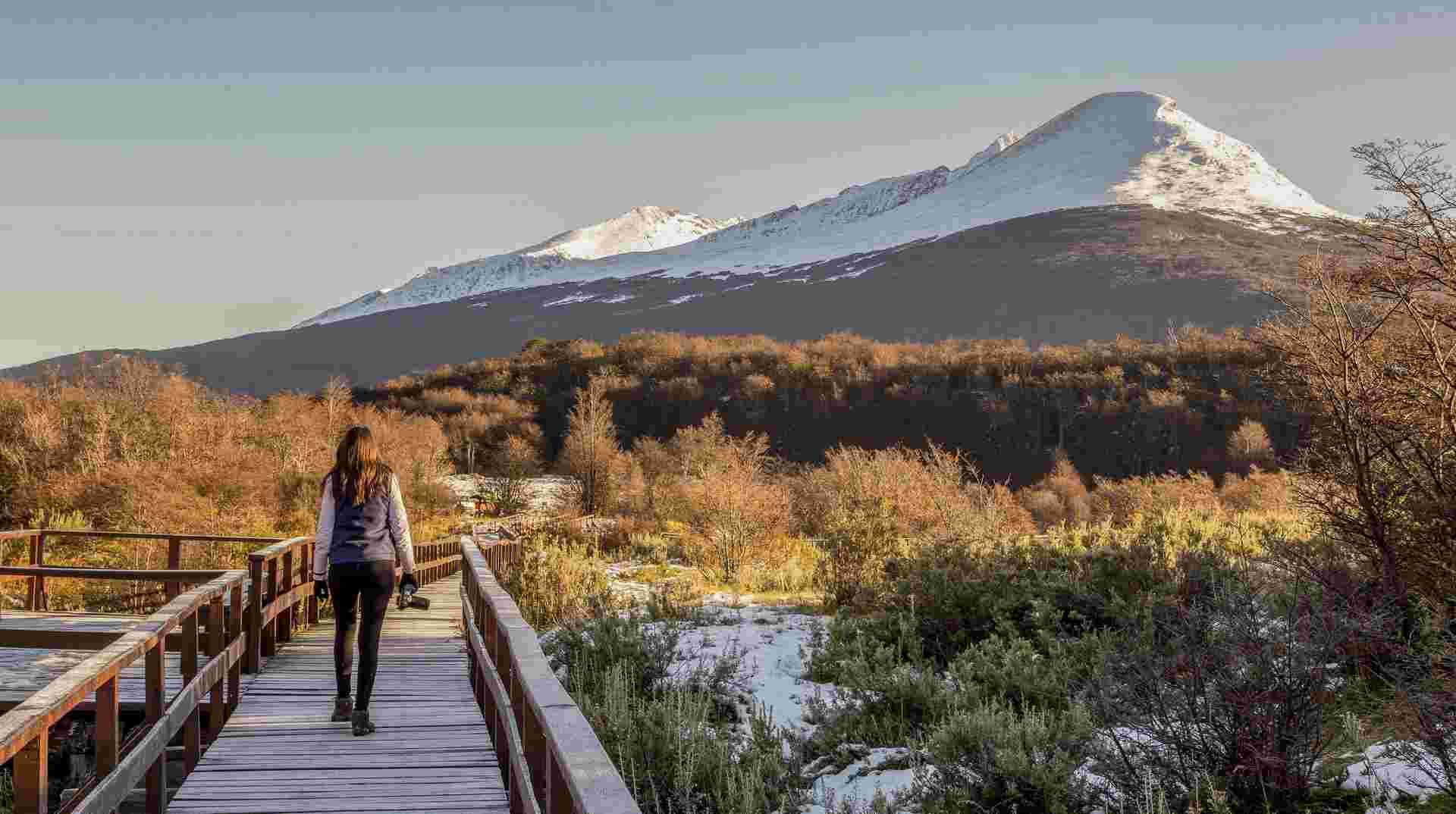 Discovering the Best of Argentina