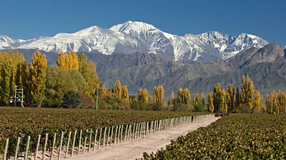 Discovering the Best of Argentina - Say Hueque Argentina & Chile Journeys - Argentina - Image 5
