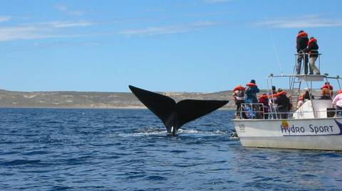 Argentina Trekking And Hiking Tour: Patagonia & Jungle