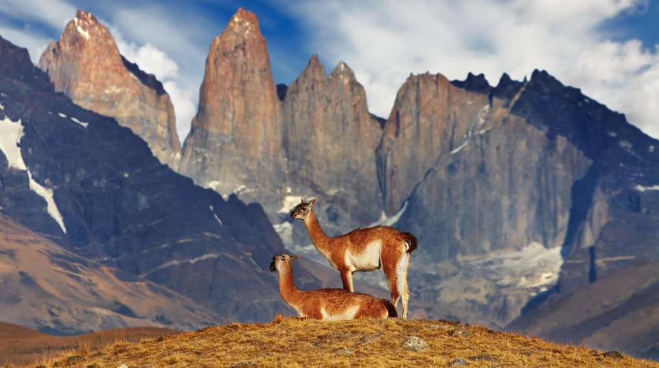 Exploring the Best of Torres del Paine - W circuit - Say Hueque Argentina & Chile Journeys - Chile - Image 5