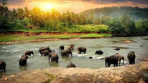 Sri Lanka Private Tours: Amazing Sri Lanka