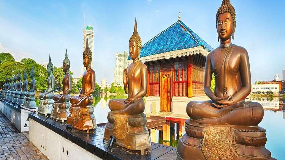 Amazing Sri Lanka - Gets Holidays Pvt Ltd - Sri Lanka - Image 5