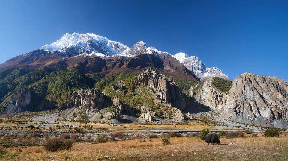 Annapurna Circuit via Kang La and Nar - World Expeditions - Nepal - Image 3