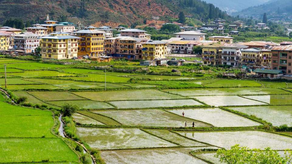 Bhutan Thimphu Festival & Trek - World Expeditions - Bhutan - Image 3