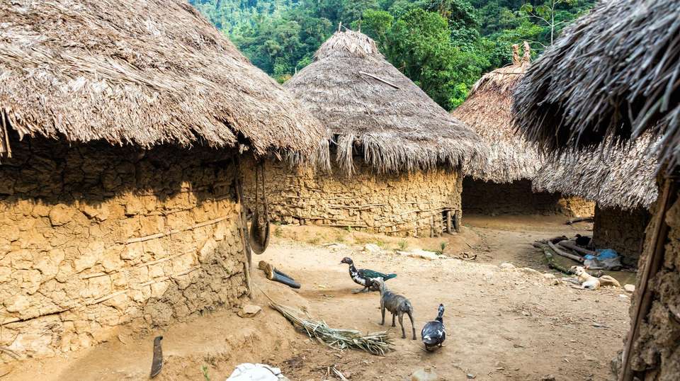 Colombia's Lost City Trek - undefined - Image 3