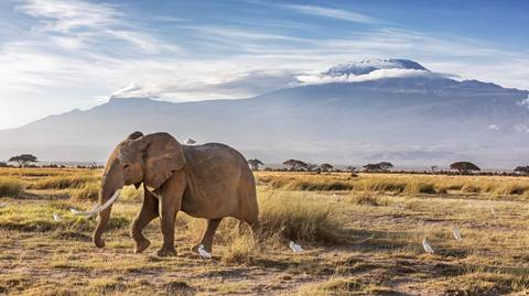 Kenya & Tanzania Wildlife Discoverer - Spring Tours