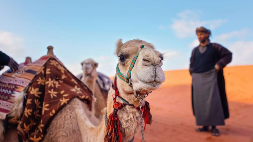 Jordan Highlights - World Expeditions - Jordan - Image 4