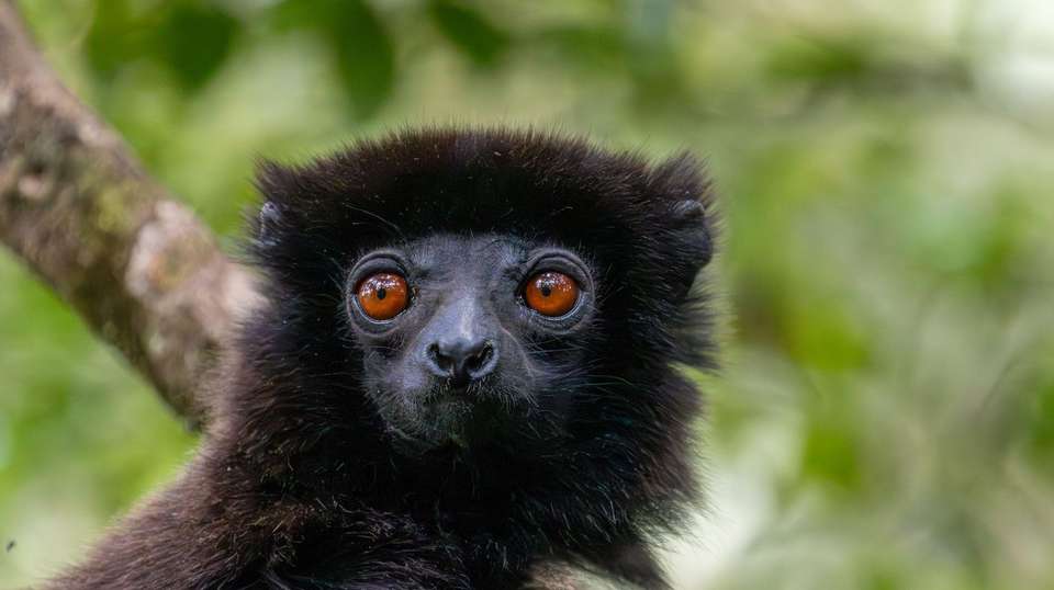 Unique Madagascar - World Expeditions - Madagascar - Image 2