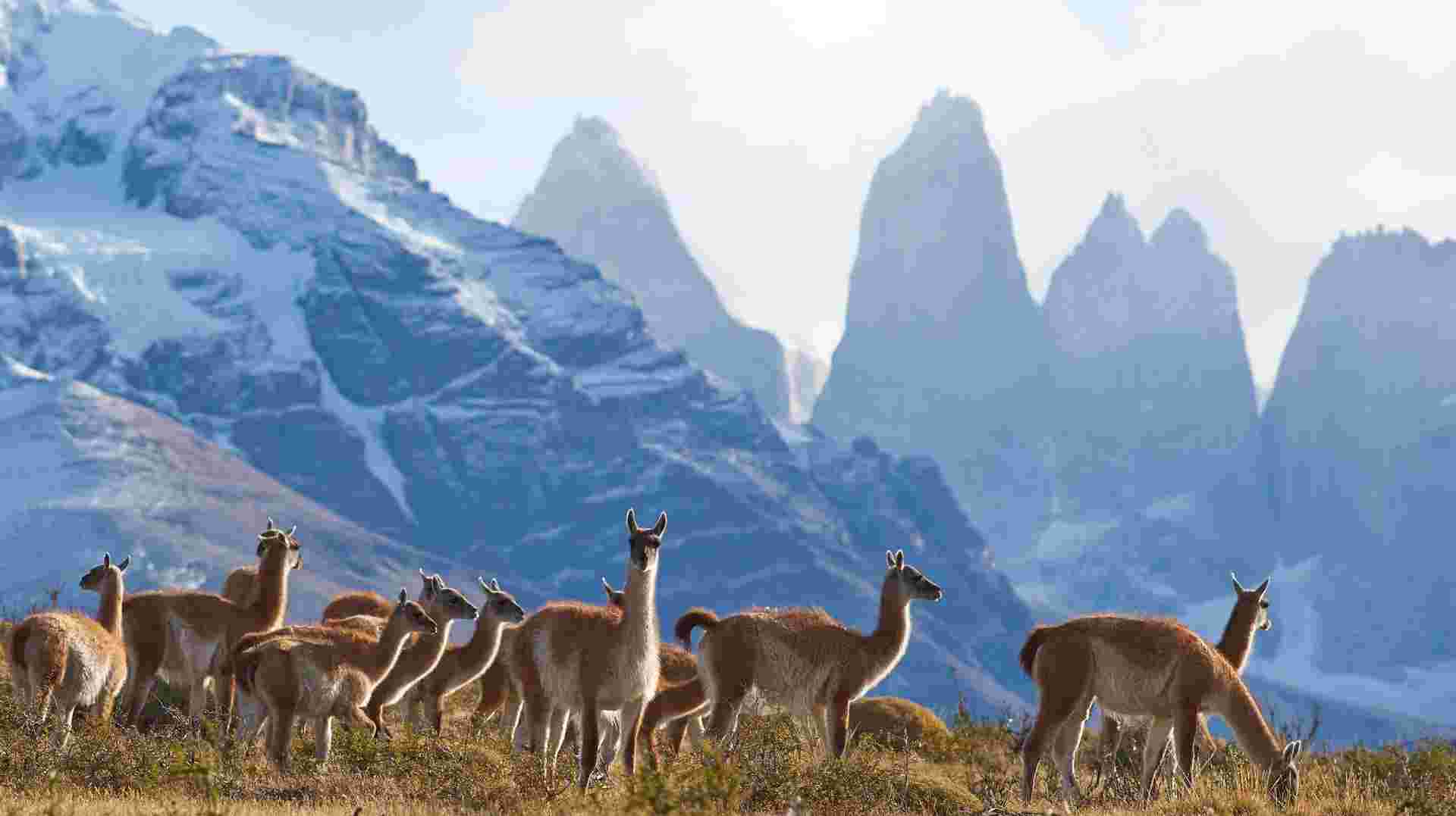 Torres del Paine Circuit