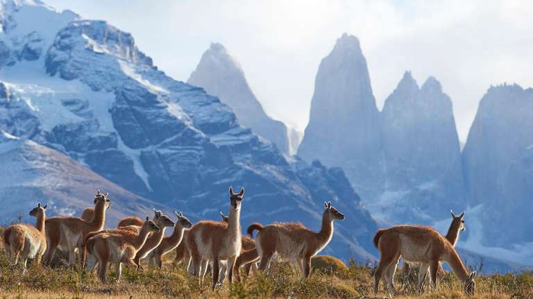 Chile Tours for Senior Citizens: Torres del Paine Circuit