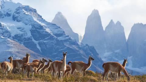 Torres Del Paine Circuit - March 2026