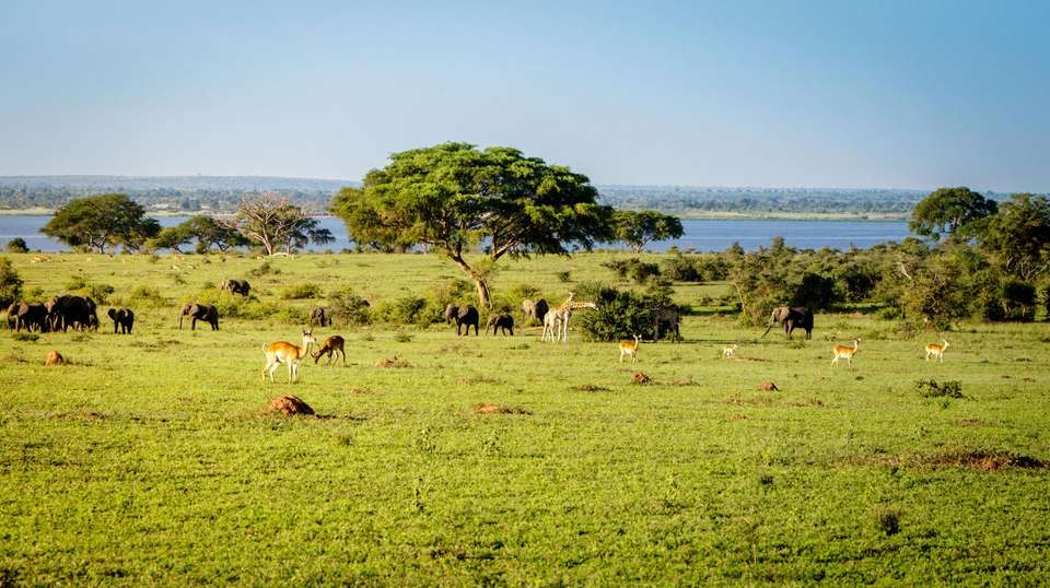 Mountains of the Moon - World Expeditions - Uganda - Image 2