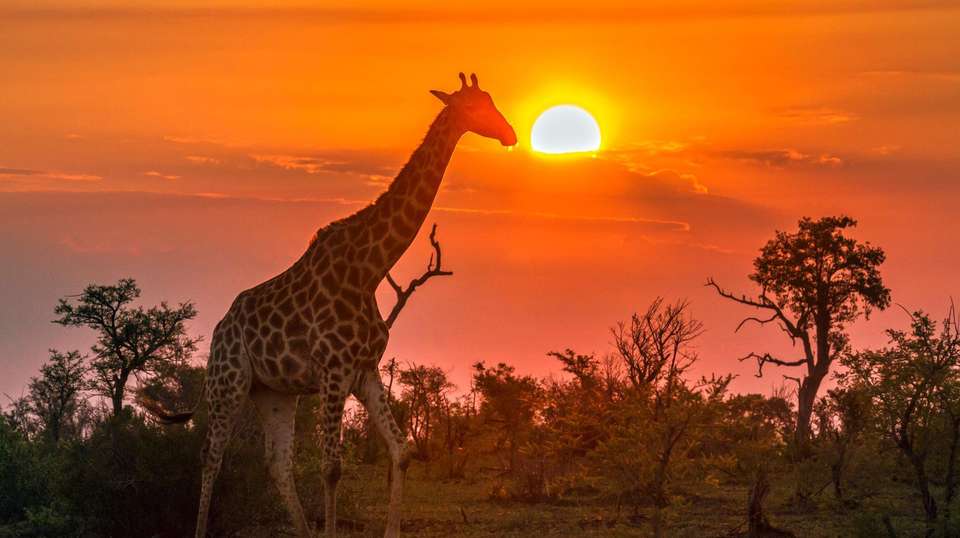 South Africa Encompassed - World Expeditions - South Africa