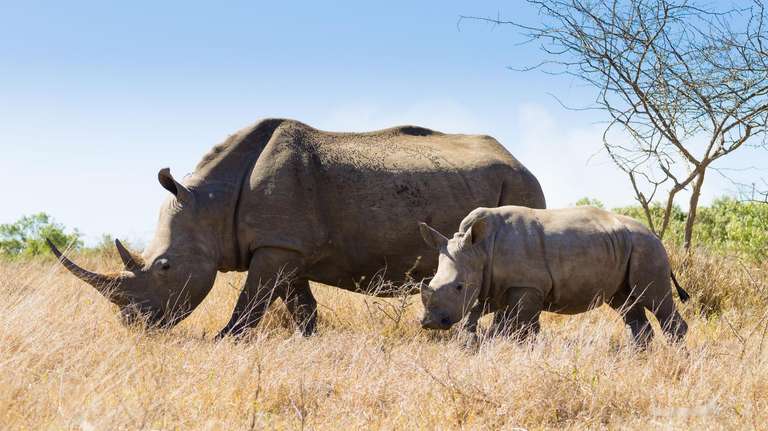 Cape Town Adventure Tour: South Africa Encompassed