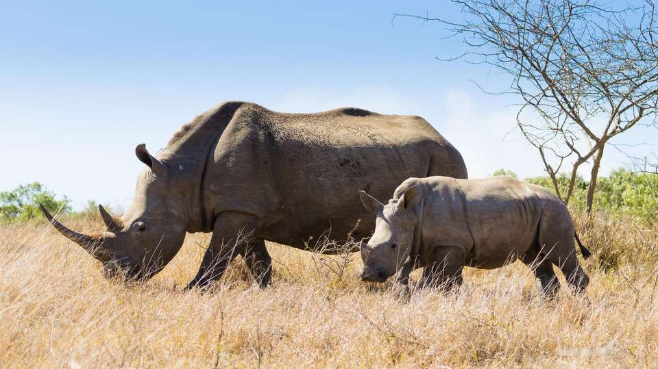 South Africa Encompassed - World Expeditions - South Africa